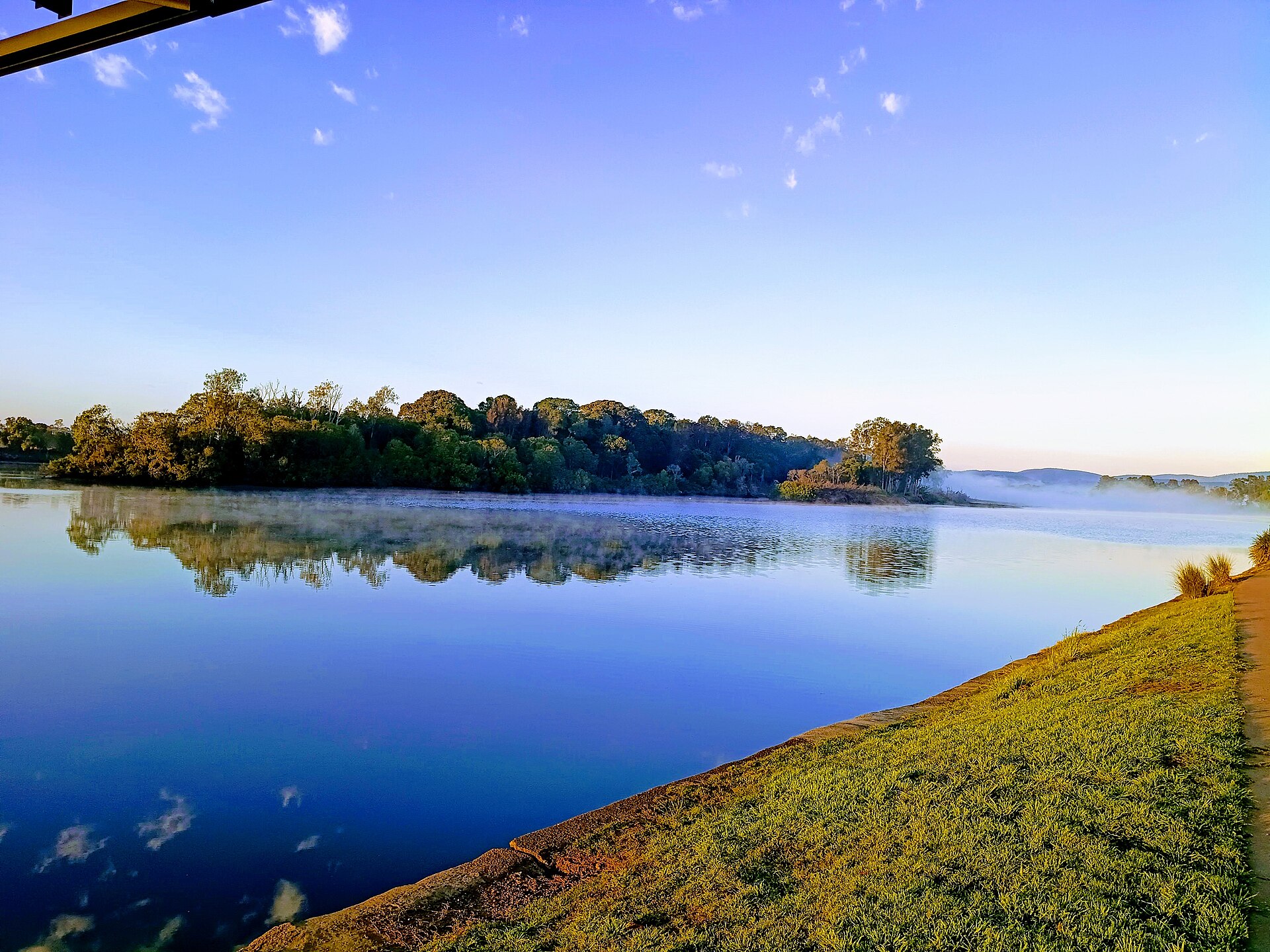 Taree